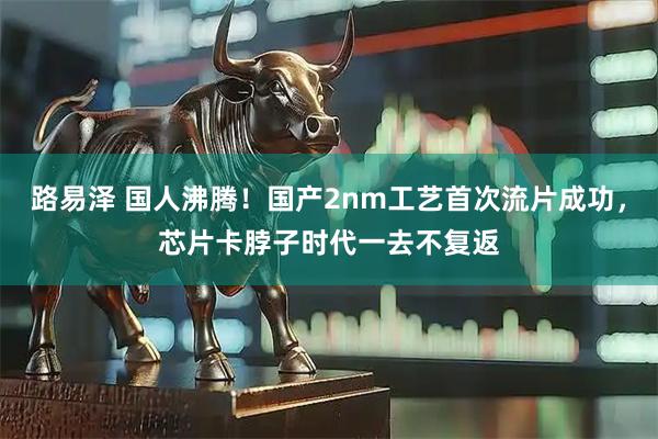 路易泽 国人沸腾！国产2nm工艺首次流片成功，芯片卡脖子时代一去不复返