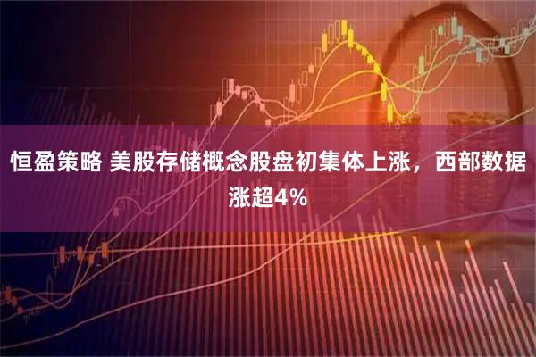 恒盈策略 美股存储概念股盘初集体上涨，西部数据涨超4%